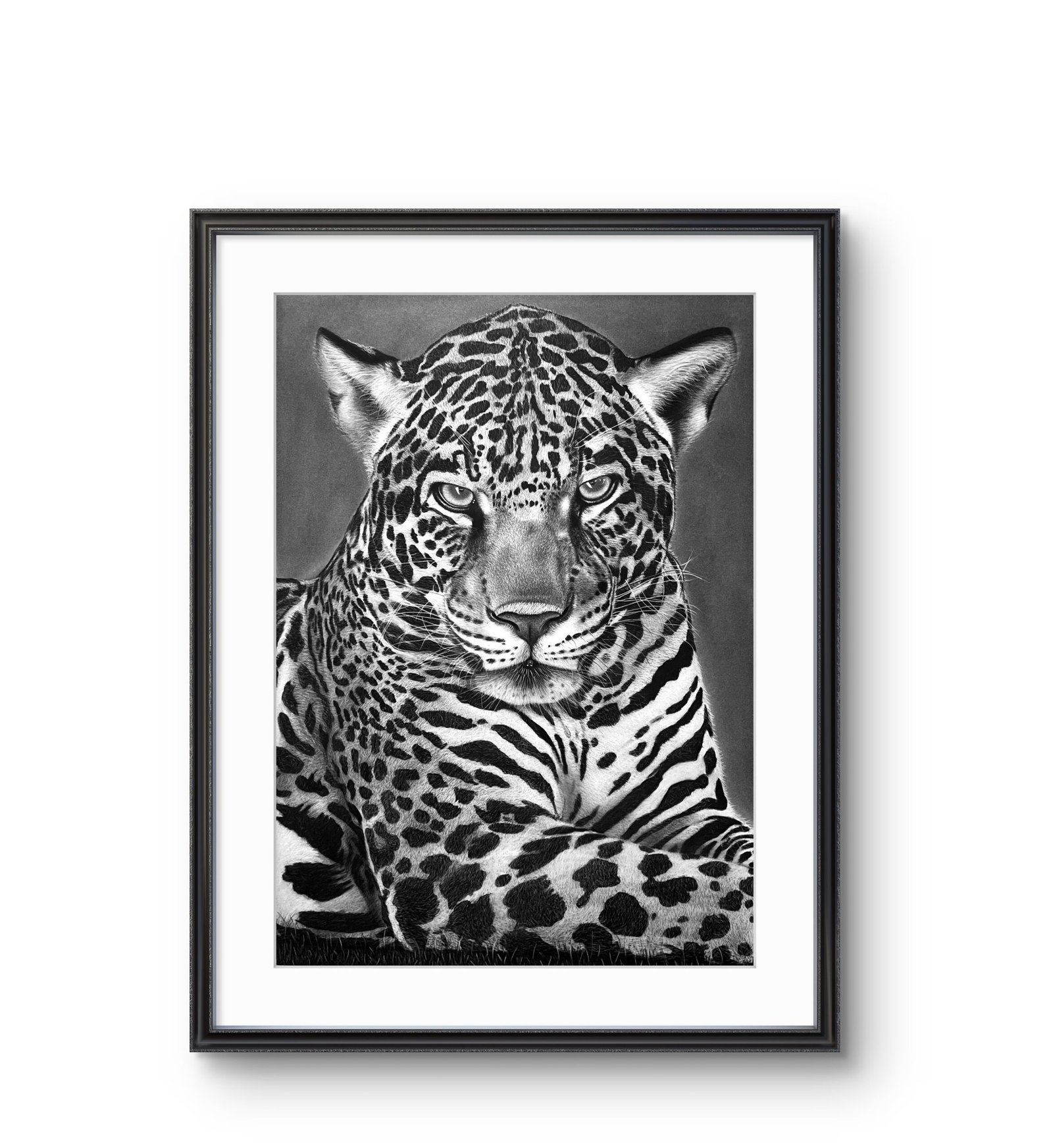 Leopard - Image 2