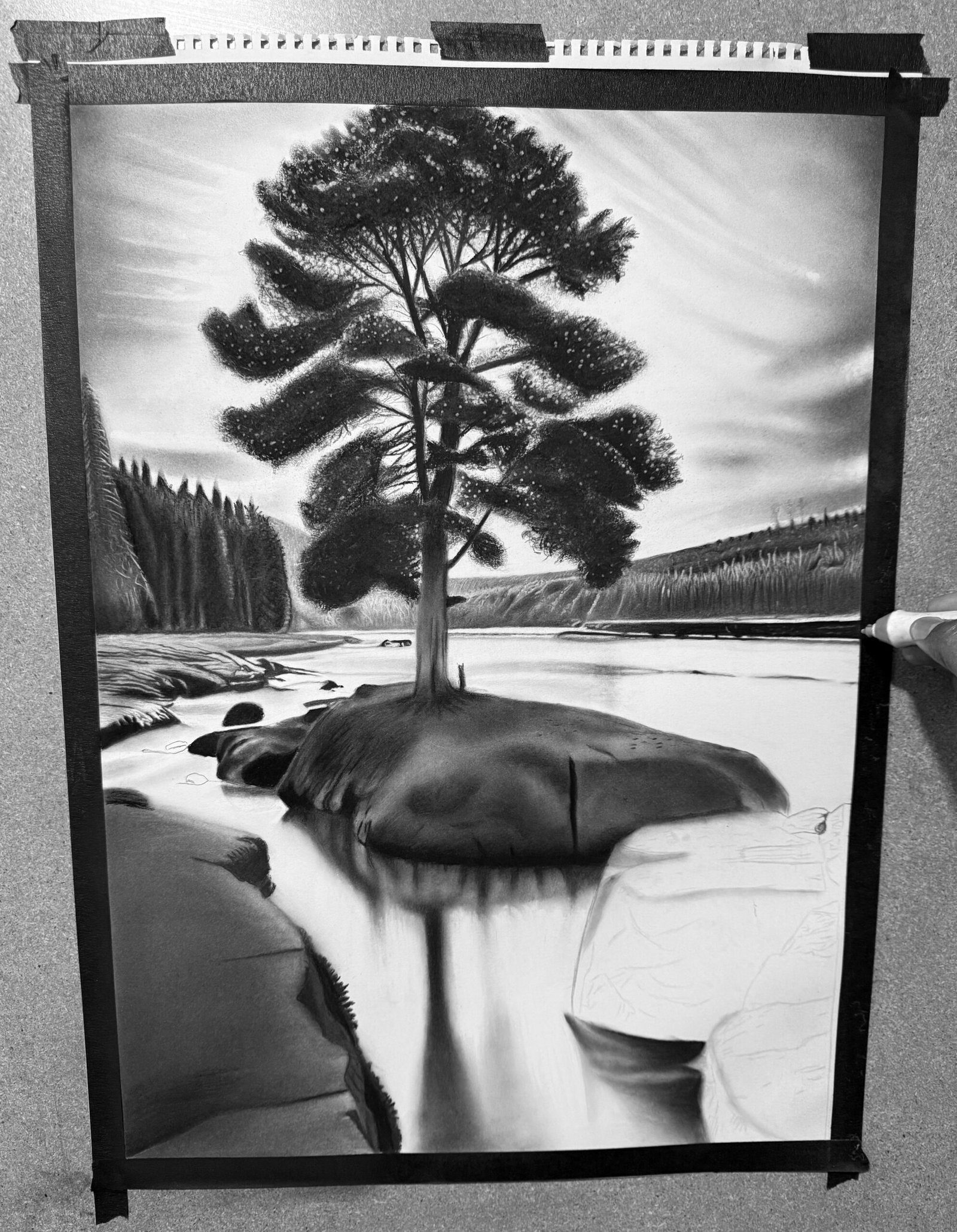 Nature - Image 4