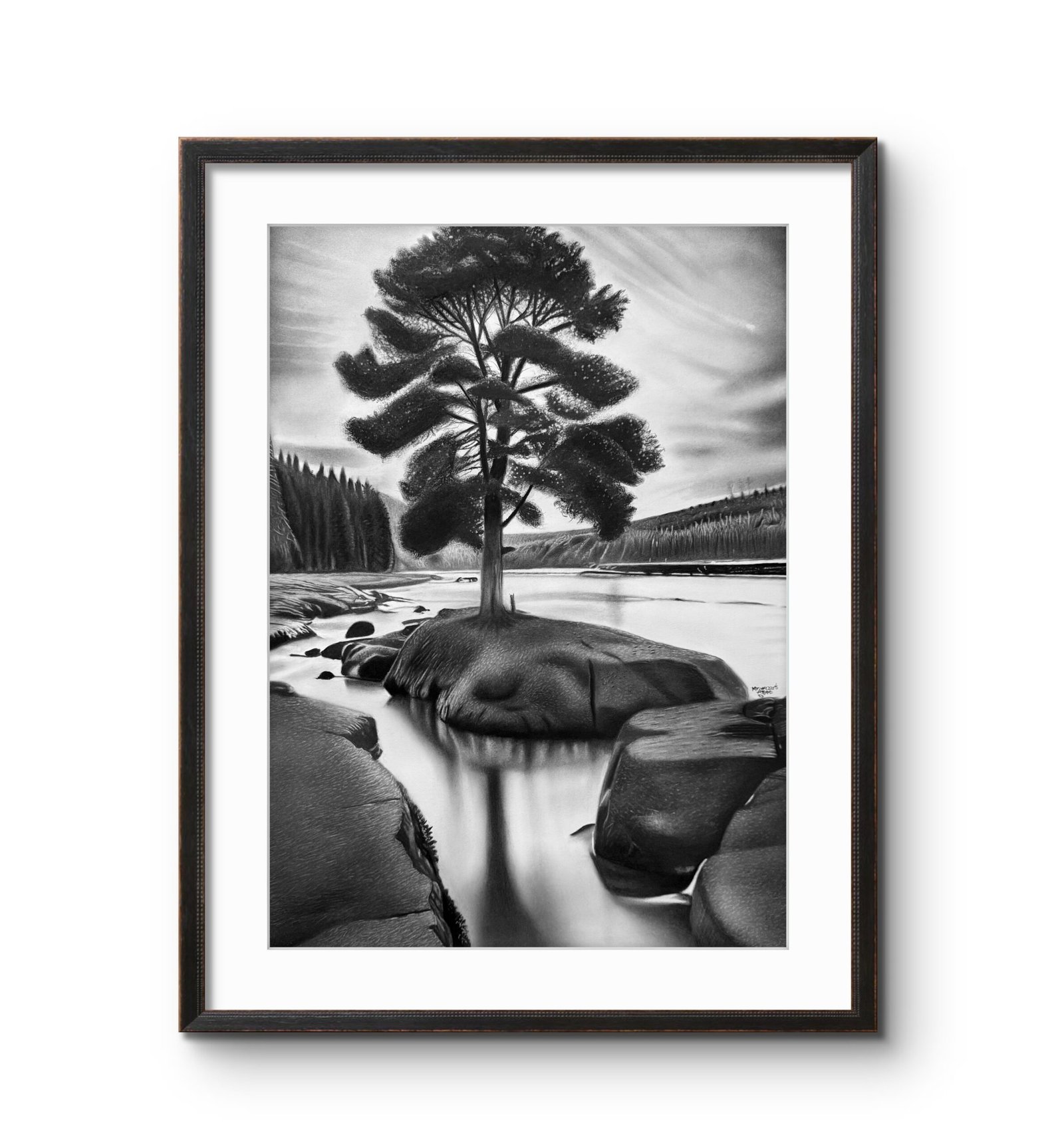 Nature - Image 3
