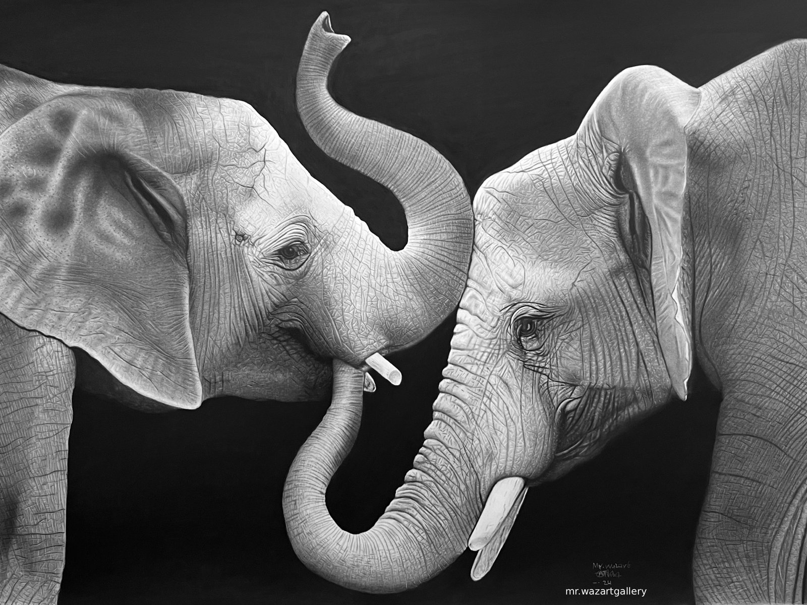 Elephant